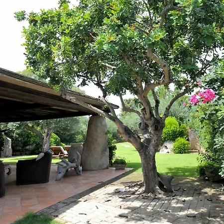 Charlie ヴィッラシミーウス