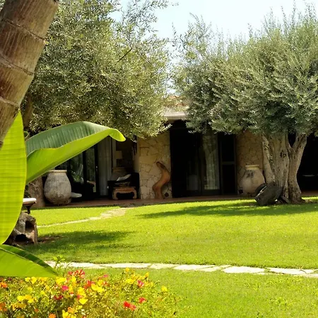 Charlie ヴィッラシミーウス